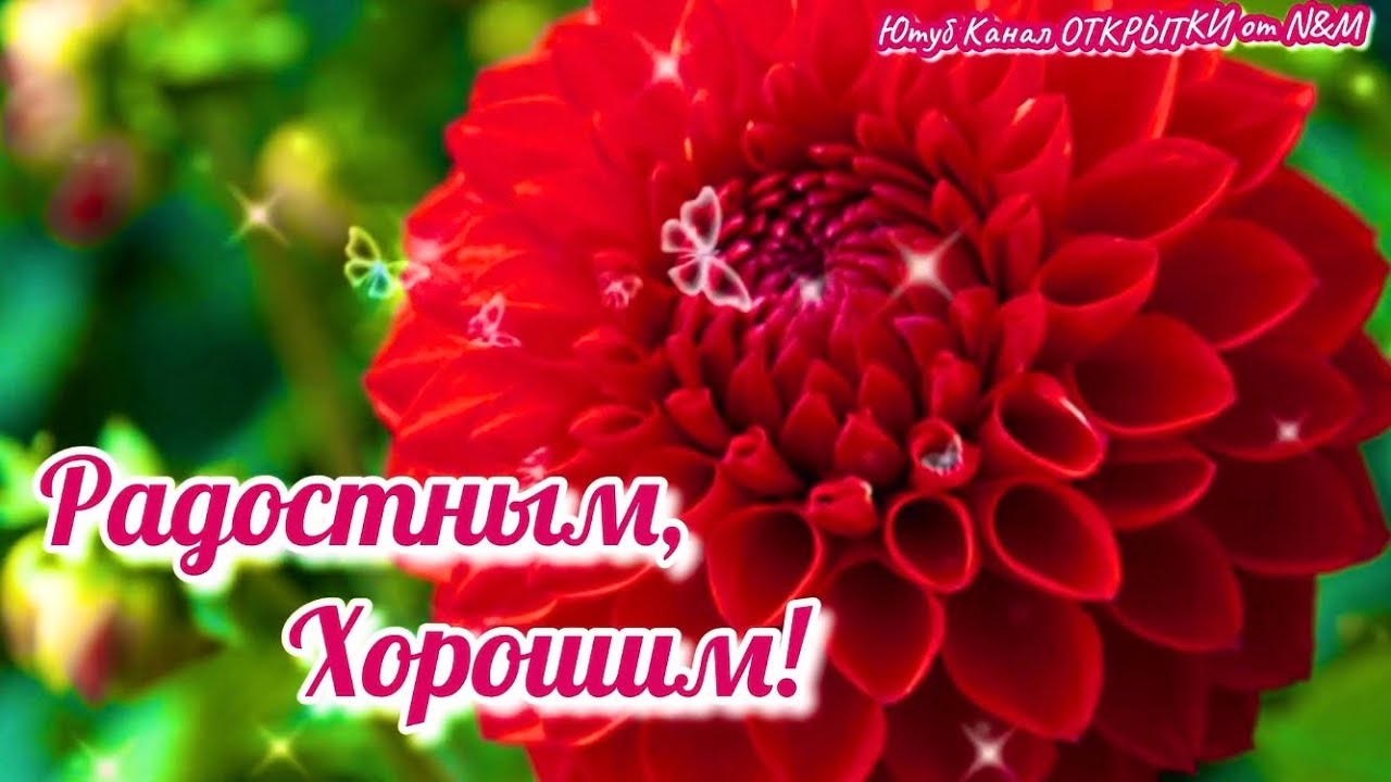 💗 Открытка хорошего дня! Хорошего настроения! Пожелание