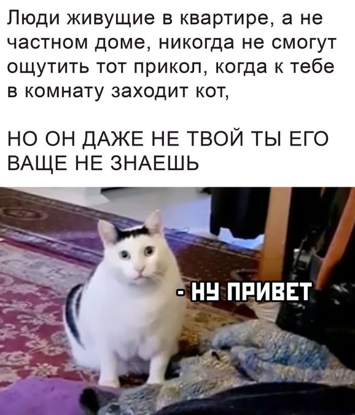 Любовь это