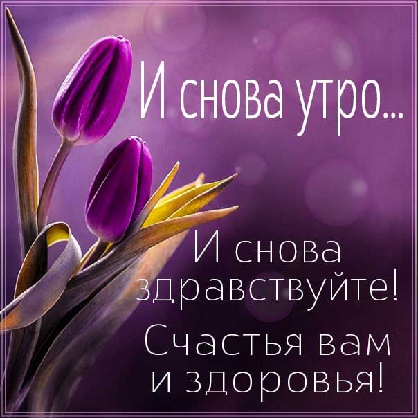 🌷Доброе утро! Тюльпаны для Вас, просто так, от души