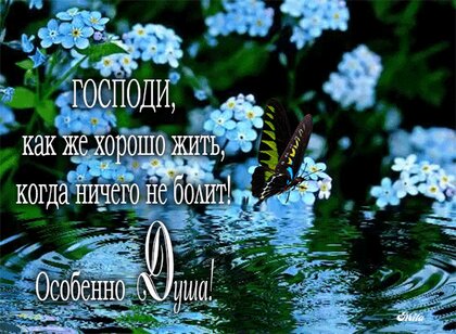 Ми намагаємося все зрозуміти головою