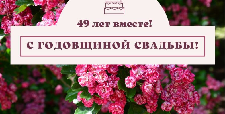 Проведение свадьбы в парк