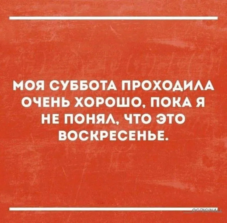 Смешные прикольные поздравления и тосты для мужчин, женщин