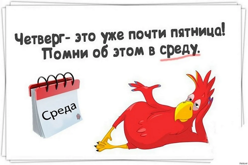 А вот и среда