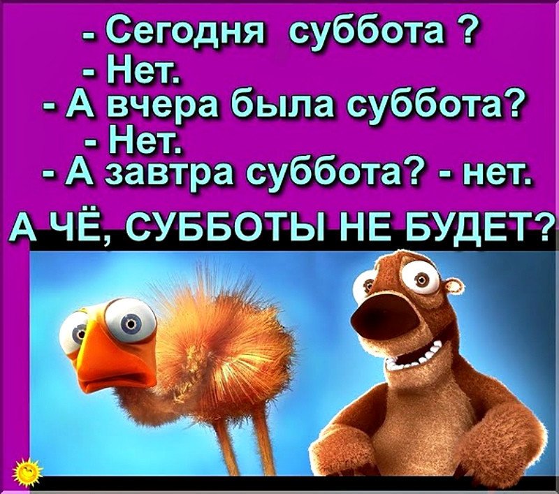 Идеи на тему «Доброе утро субботы» в 2024 г | доброе