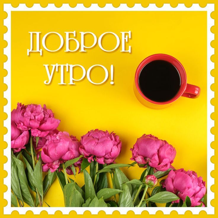 🌞 ДОБРОГО УТРА / ДОБРОЕ УТРО / С