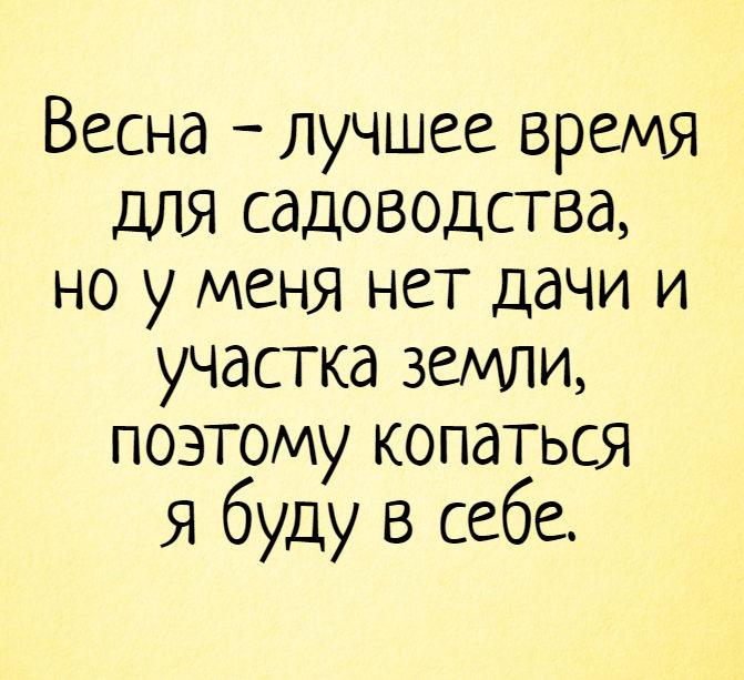 Подушка «Надпись отпустите меня на дачу и никто не пострадает