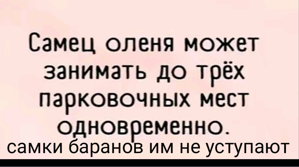 Ондржей Секора. «Муравьи не сдаются». DjVu + читать