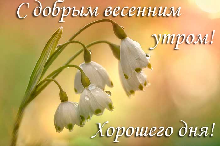 🌸✨☕ Красивые картинки 