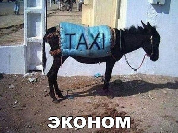 Приколы про такси и работу таксистов » Триникси