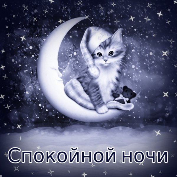 спокойной ночи! 😻😴good night! пожелание сладких снов от