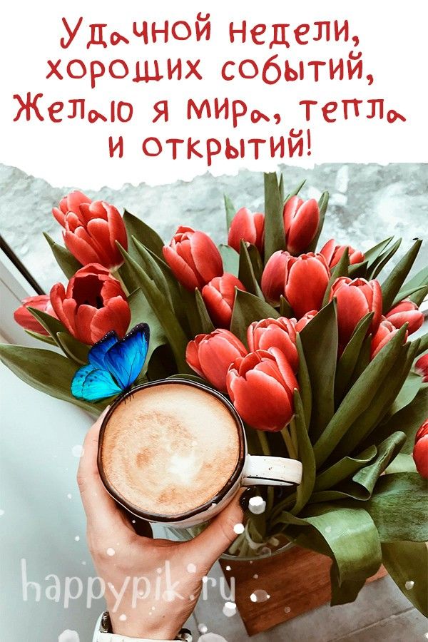 Доброе утро Понедельника#открыткисдобрымутром #рек | TikTok