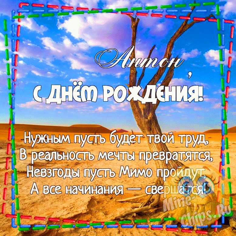 Поздравления и открытки: Антон, с Днём Рождения! 💝 +