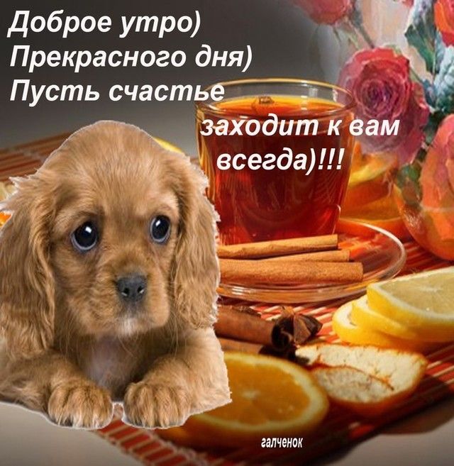 Мудрость жизни