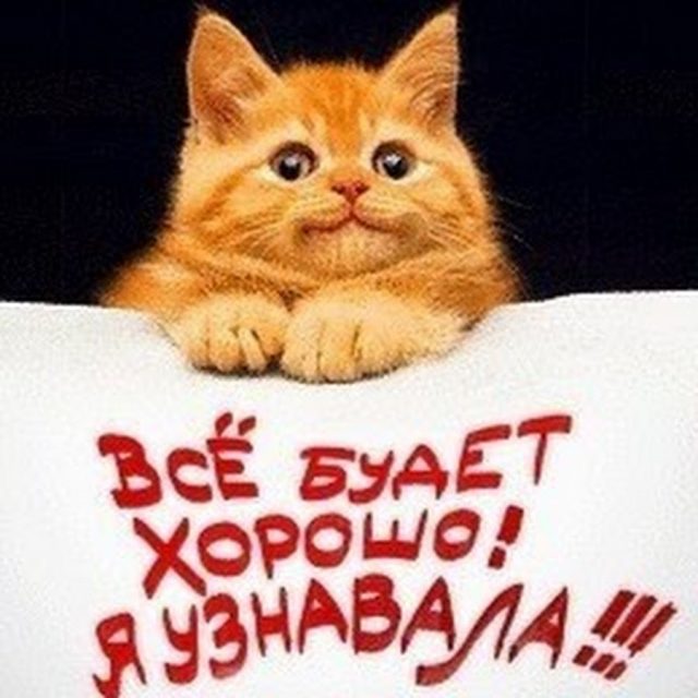 Пожелания удачи коллегам до слез — 50