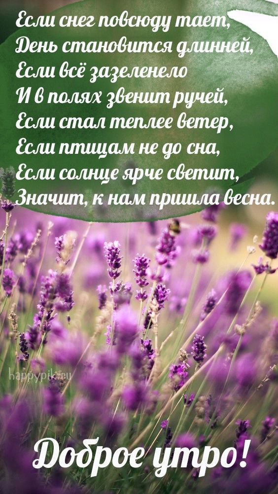 🌞🌼☕Самого доброго весеннего утра!💗Благословенного дня