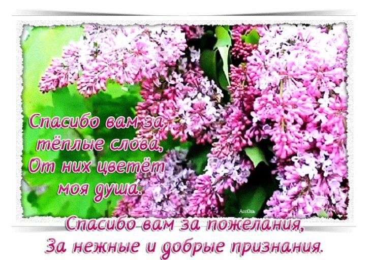 Прикольные слова благодарности за поздравления — 39 шт