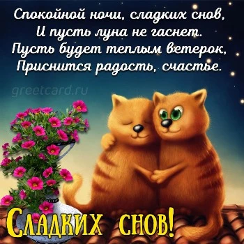 Спокойной ночи