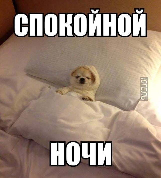 Ох уж этот спам 😅🙈 #жиза #прикол #интернет #сижувтелефоне