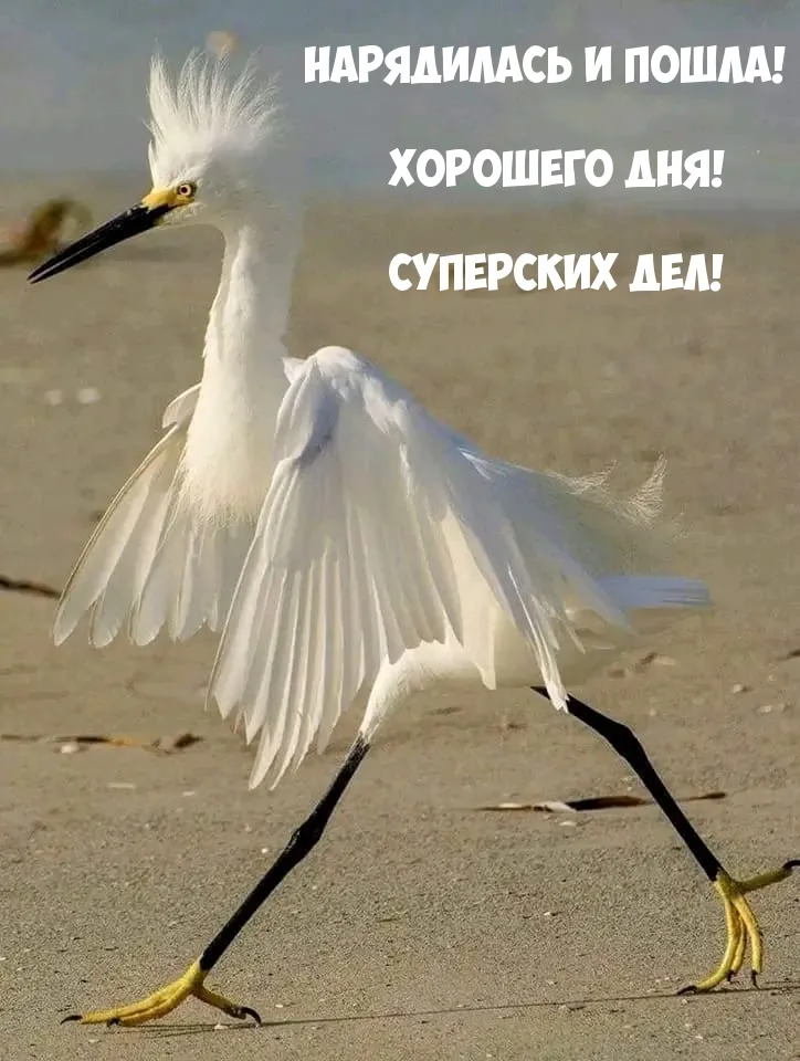 💌☀️😄 Картинки Хорошего дня