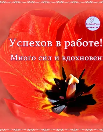 Уважаемые работники торговли, общественного питания и сферы