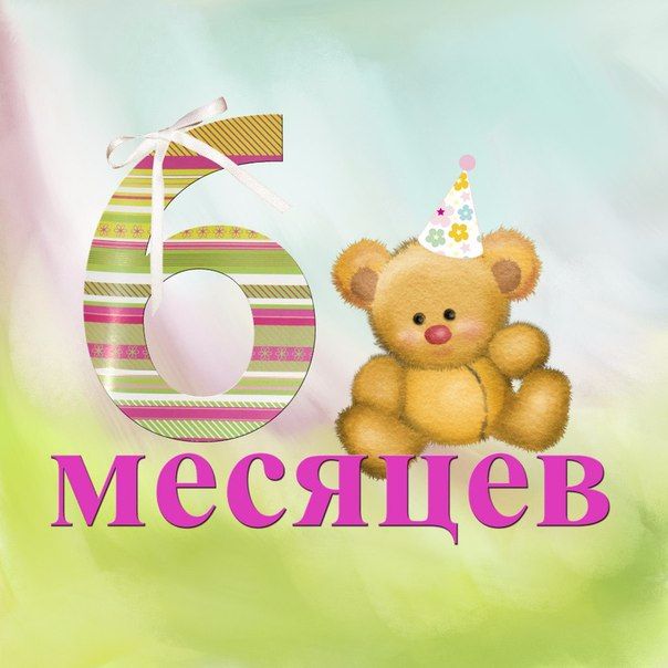 с 6 месяцами