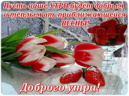 Доброе утро весна картинки