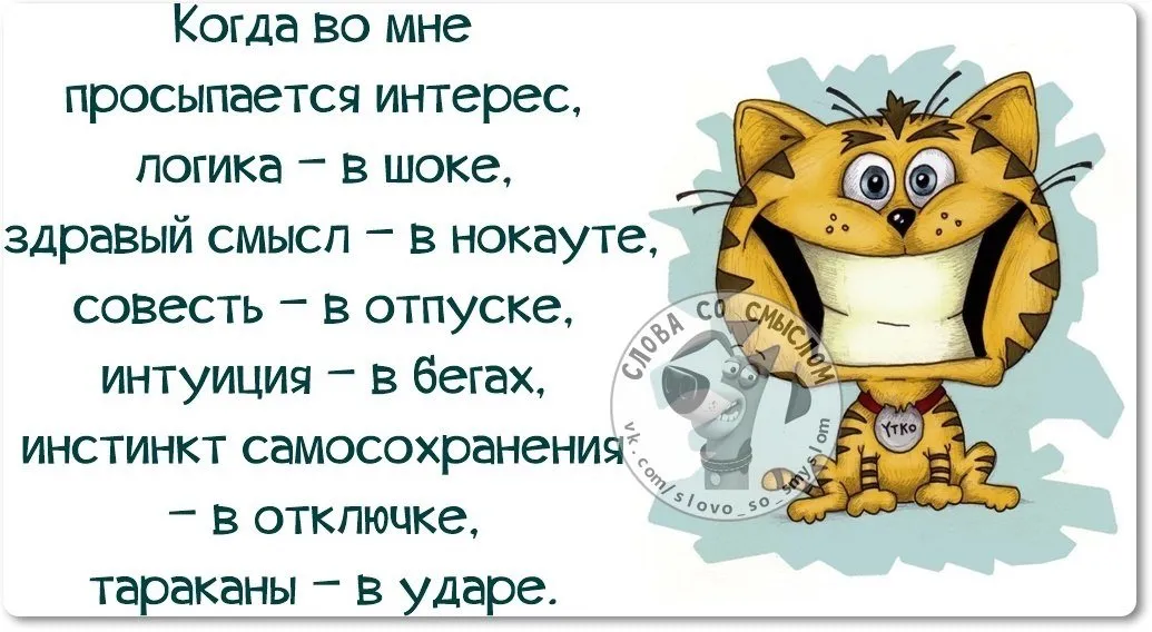 Идеи на тему «Смешные статусы про жизнь» в 2024 г