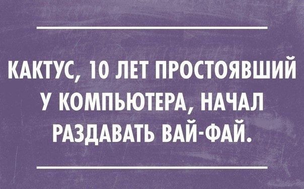 Pin on Юмористические цитаты и стихи