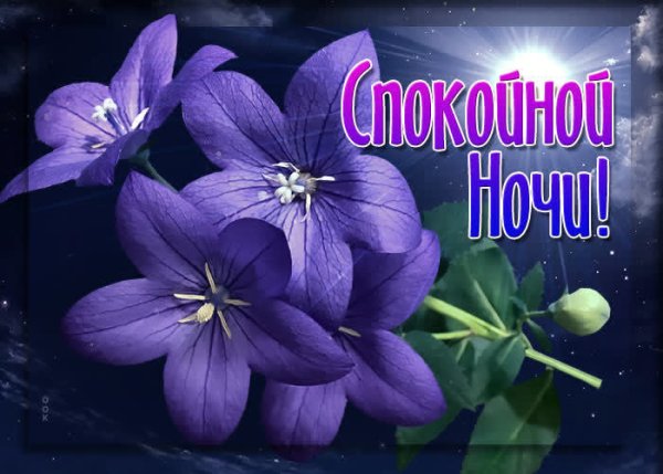 Спокойной ночи, любимая! Открытка для любимой, скачать бесплатно