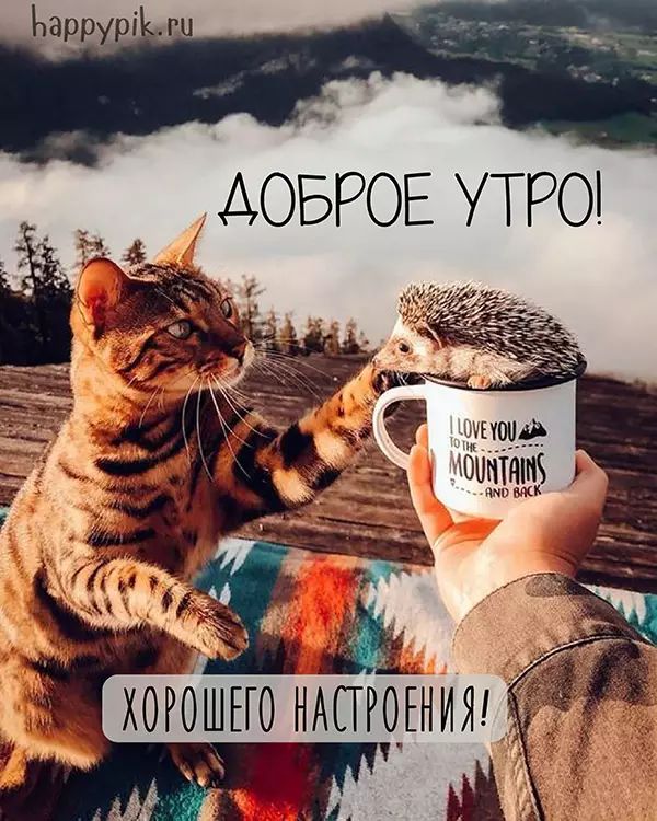 Вторник На Работу Приколы | TikTok