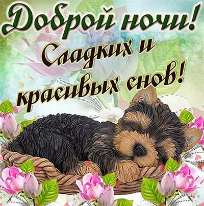 Доброй ночи!/Пожелание спокойной ночи!/Нежная мелодия