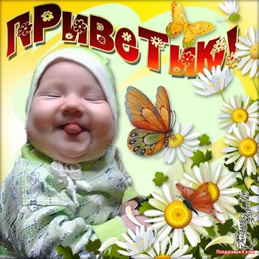 Передай Привет Прикол | TikTok