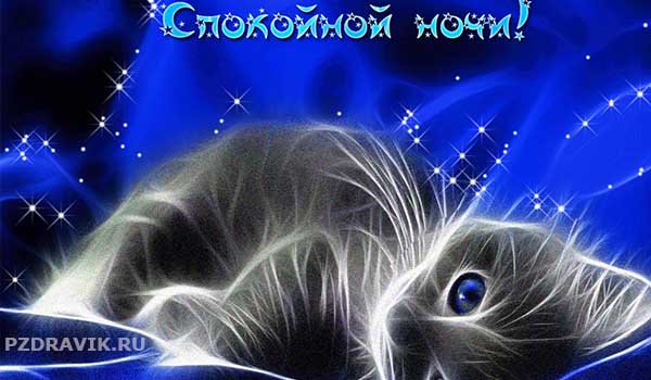 Картинки Спокойной ночи любимой 🌙