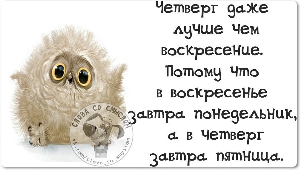 Доброе утро четверга: картинки красивые и прикольные, смешные