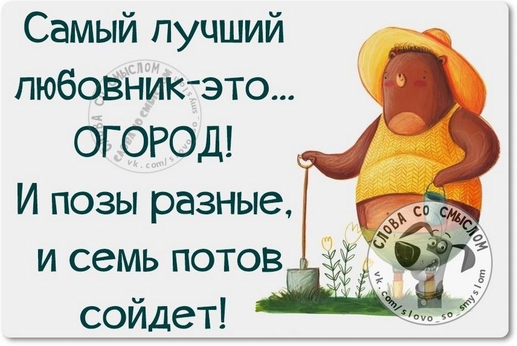 Цитаты про жизнь