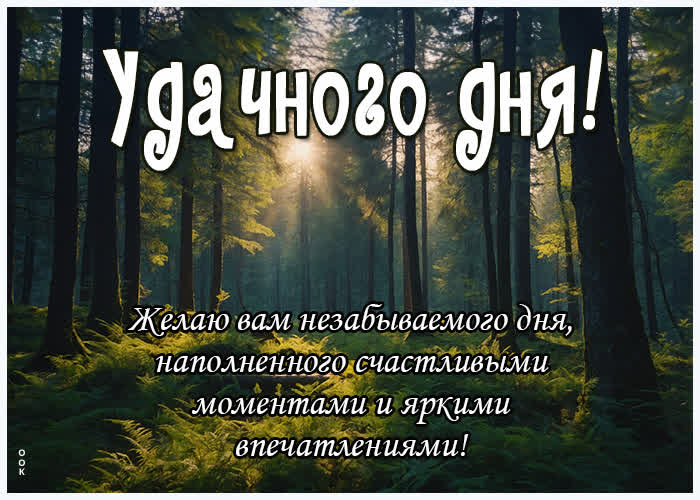 Добрый день, 🍃🌺🌿 пожелания! в 2024 г