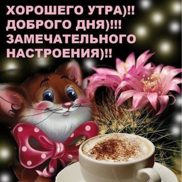 💗 Анимация с хорошим днем мужчине