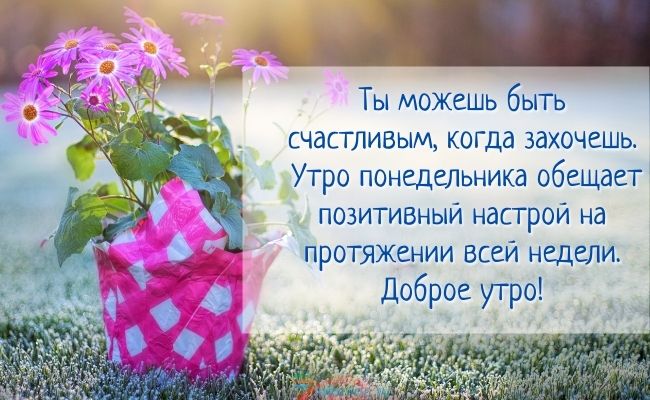 Доброе утро!!! Желаю вам легкого