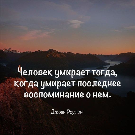 Прикольные афоризмы на все случаи жизни | Жизнь в стиле Ноль