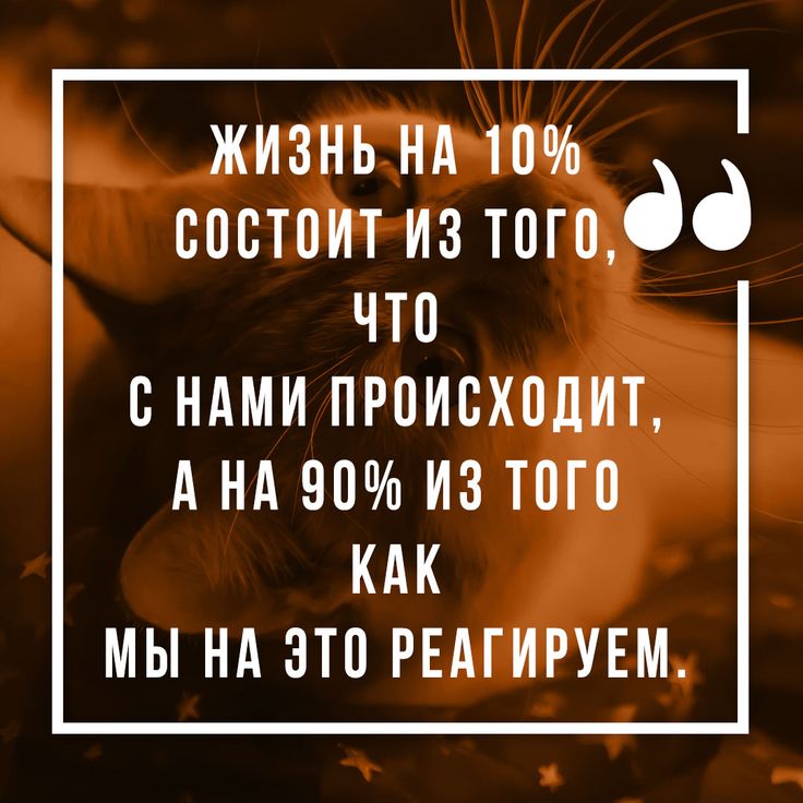 Оригинально и дерзко: 100 коротких статусов о себе :: Инфониак