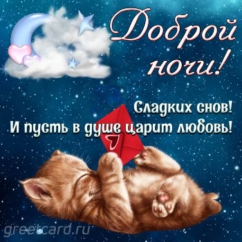 Спокойной ночи!/Доброй ночи!/Пожелание