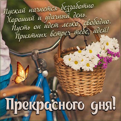 ╭•⊰ 💐 Чудесного дня! 💐 ⊱•╮ | Доброе утро, открытки