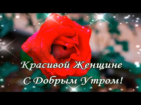 Прикольные картинки с добрым утром