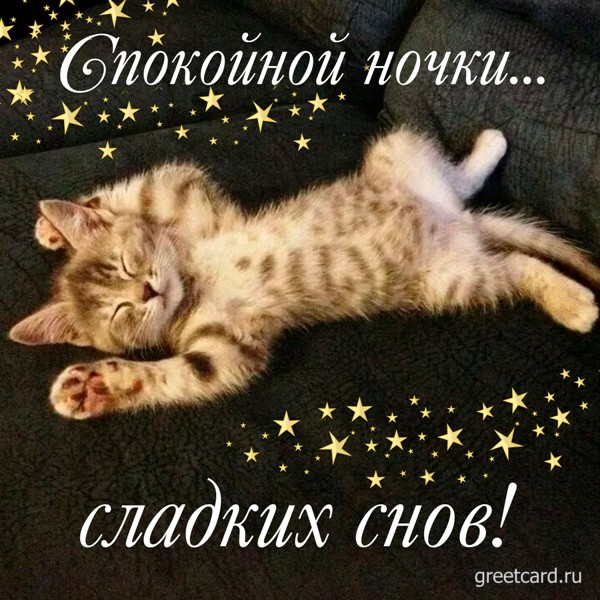 Открытка спокойной ночи с кошкой