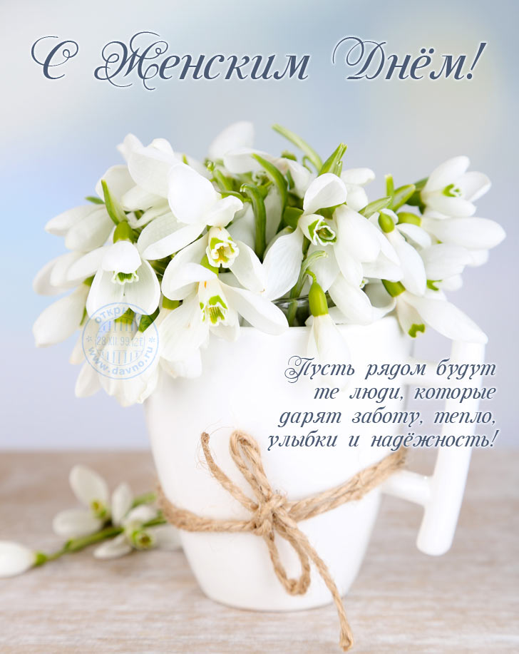 Greetings and Wishes to Teachers' Day / Поздравления и