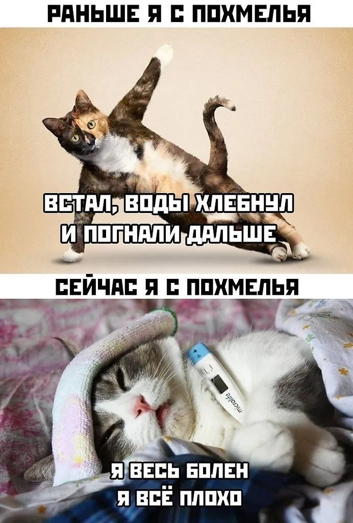 Юмор каждый день