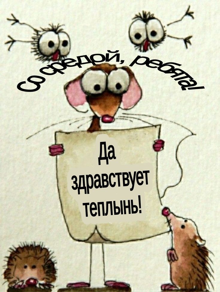 Доброй среды