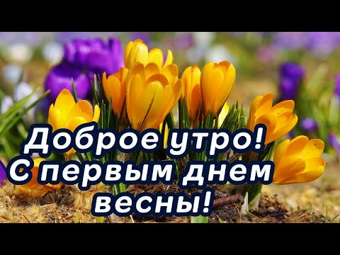 Картинки с первым днем весны 