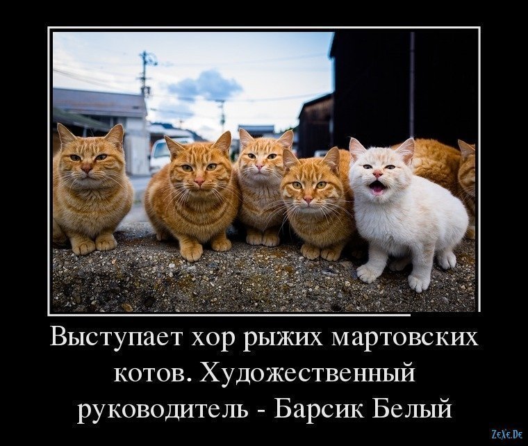 Мартовский кот