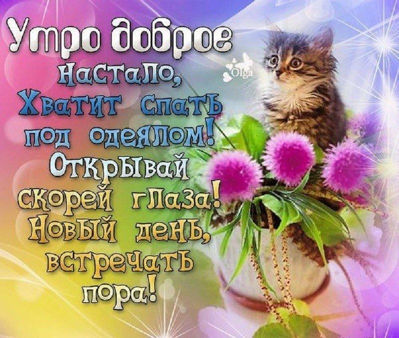 Открытка Доброе утро! Новый ДЕНЬ, новые НАДЕЖДЫ! Пусть всё